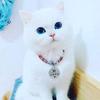 Profile Picture of Usman Joseph (@@jay_self) on Tiktok