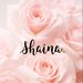 Profile Picture of Shaina Rabin (@shainarabin13) on Pinterest