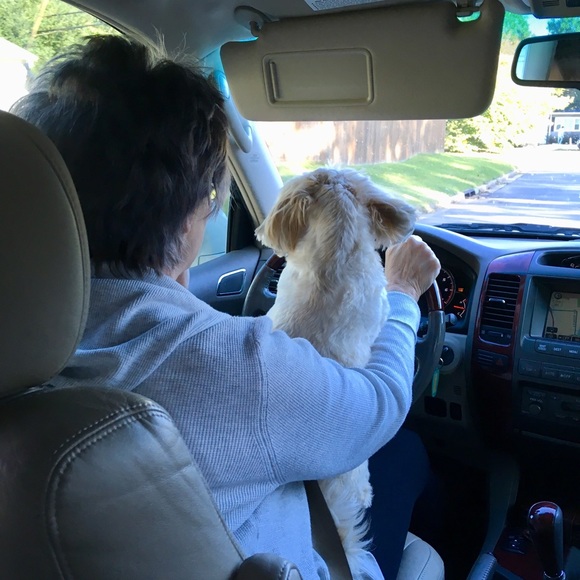 Profile Picture of Todd Potter (@bigdankie) on Poshmark