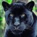 Profile Picture of Thomas Trüssel (@thomas.trussel.5) on Facebook