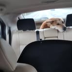 Profile Picture of Christopher Warwick (@Christopher-Warwick) on Facebook