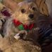Profile Picture of LaDonna Welch (@ladonna.welch.777) on Facebook