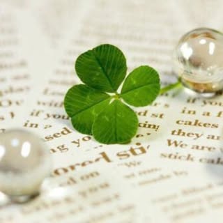 Profile Picture of chako (@m_chako) on Instagram