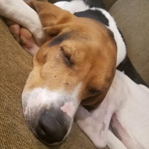 Marshall Thrasher - Myspace Profile Picture of Marshall Thrasher (@marshall1968) on Myspace