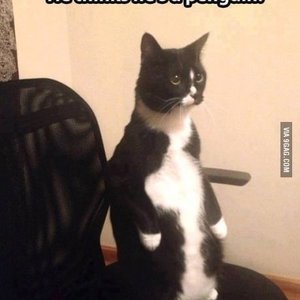 Caleb Misener - Myspace Profile Picture of Caleb Misener (@digital_user) on Myspace