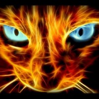 Profile Picture of Devin Kruse (@devin-kruse-1) on Quora