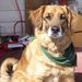 Profile Picture of James Lahr (@jameslahr3) on Pinterest