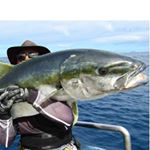 Profile Picture of Jeff Bull (@jeffbullshark) on Instagram