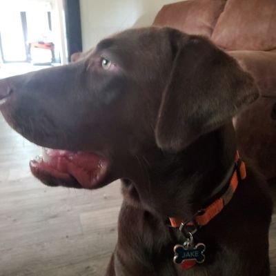 Profile Picture of David Tappe (@TappeDavid) on Twitter