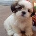 Profile Picture of Jean Kilmer Roberto (@jeankilmerrober) on Pinterest