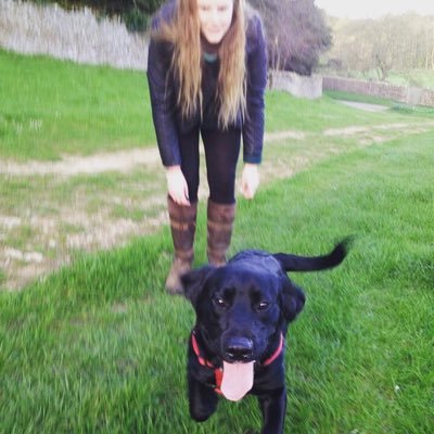 Profile Picture of Katie McDermott (@Katiesue1302) on Twitter