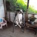 Profile Picture of Robertta Bender (@robertta.bender) on Facebook