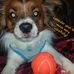 Profile Picture of John Fann (@john.fann.12) on Facebook
