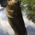 Profile Picture of Andrew Averill (@averill.andrew) on Instagram