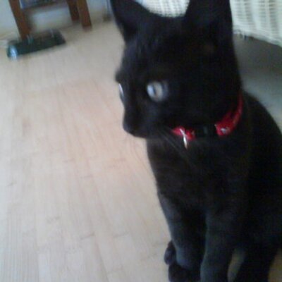 Profile Picture of Craig Ames #FBPE (@Craigames5) on Twitter