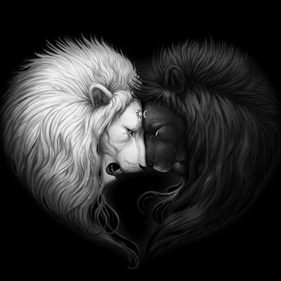 Profile Picture of Elizabeth Lugauer (@ELugauer) on Twitter