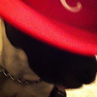 Profile Picture of Iverson Gandy (@GandyIverson) on Twitter