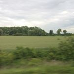 Profile Picture of James Sunga (@randompasserby404) on Instagram