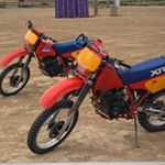 Brandon - Instagram Profile Picture of Brandon (@brandon_plum_) on Instagram