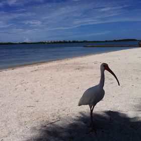 Profile Picture of Houdini's Name Brands For Less (@robertbraccio) on Pinterest