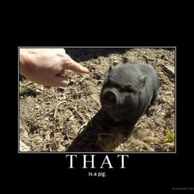 Profile Picture of Daniel Dobbs (@danieldobbs99) on Twitter