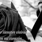 Profile Picture of   Miqui Nina Gallito D... (@miquininagallitodiablito) on Tiktok