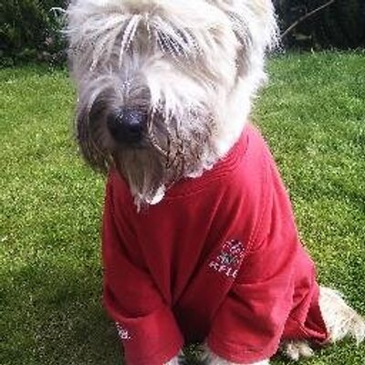 Profile Picture of Julian Gilding (@JuleseyG01) on Twitter