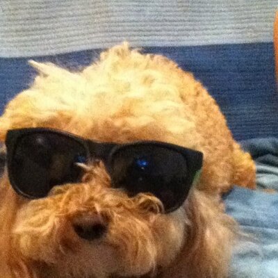 Profile Picture of Spencer Laliberte (@football667) on Twitter