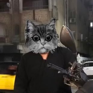 Profile Picture of Ahmed Rahal (@a7med_ra7al) on Twitter