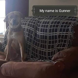 Profile Picture of Douglas Keefee (@douglas.keefee) on Facebook