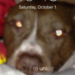 Marshall - Instagram Profile Picture of Marshall (@marshallpowell2005) on Instagram