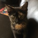 Profile Picture of DGB (@darrenbadger27) on Instagram