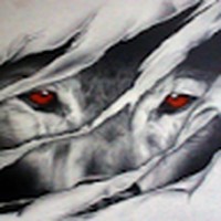 Profile Picture of Timothy Shultz-student (@timothy-shultz-student) on Quora