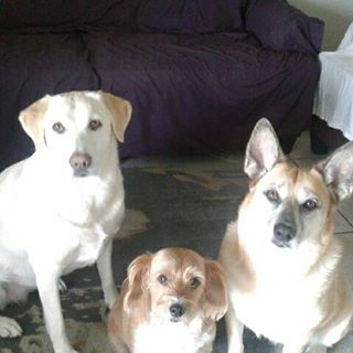 Profile Picture of Brian Capper (@brianlcapper) on Facebook