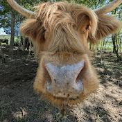 Profile Picture of Luca Fischer (@Luca.fischeer) on Youtube