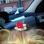 Profile Picture of Sandra Deca (@sandra.decarolis.7) on Instagram