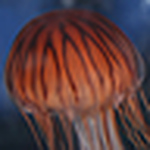 Profile Picture of Christopher Hale (@chriscobillhale) on Flickr