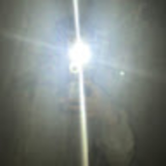 Profile Picture of Maya Parekh (@mayaparekh2006) on Poshmark