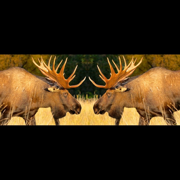 Profile Picture of Kim Ashlee (@kjw3214) on Poshmark