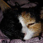 Profile Picture of hannah (@hannah.ludwig_) on Instagram