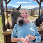 Profile Picture of Patrick Hallam (@Patrick-Hallam) on Facebook