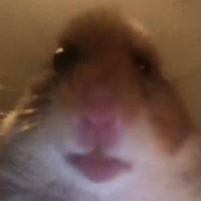 Profile Picture of David Guidi (@DavidGuidi342) on Twitter