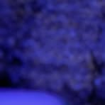 Profile Picture of Kenneth Holston (@Kenneth-Holston) on Facebook