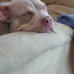 Profile Picture of Jeremy Boggess (@jeremy.boggess.245599) on Facebook