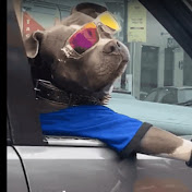 Profile Picture of Adam Harrison (@adamharrison9069) on Youtube