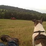 Profile Picture of John N Brutus (@oneamericaca) on Instagram