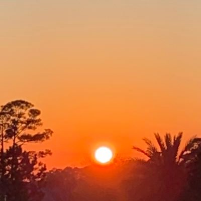 Profile Picture of Elizabeth Farnsworth (@_Liz_0705) on Twitter