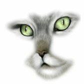 Profile Picture of Catherine McFee (@ebonysol) on Pinterest