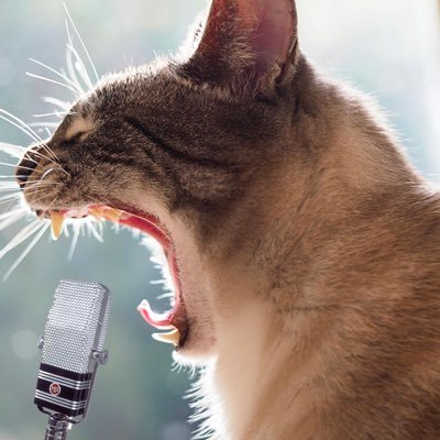 Profile Picture of Ben Tauber (@btaubster) on Twitter