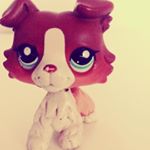 Profile Picture of Bree Peterson (@_.breepeterson._) on Instagram